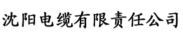 极品全能学生夏天电缆厂logo